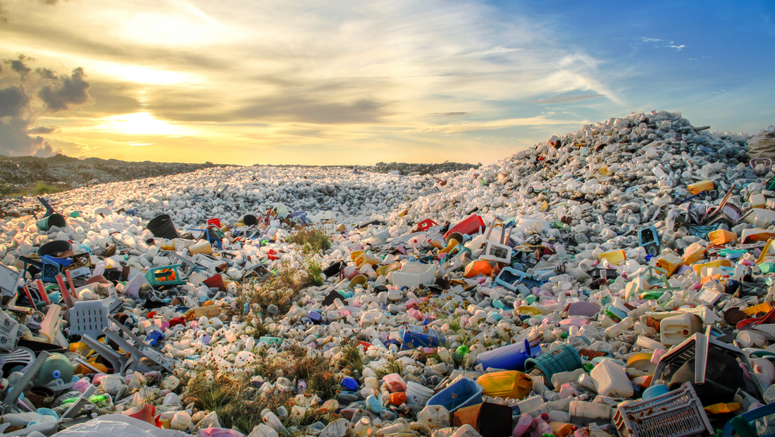 No Place for Plastics. Our Pledge to Pets and the Planet.