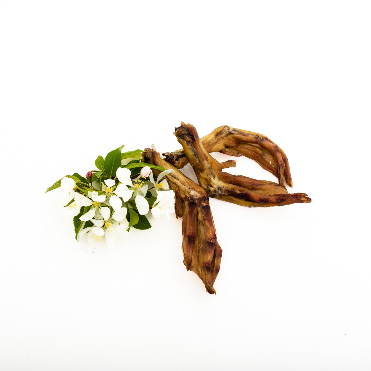 Two Wild Nosh Pets Dehydrated Duck Feet lie beside a small branch with white flowers and green leaves on a white background, highlighting this natural glucosamine-rich treat.