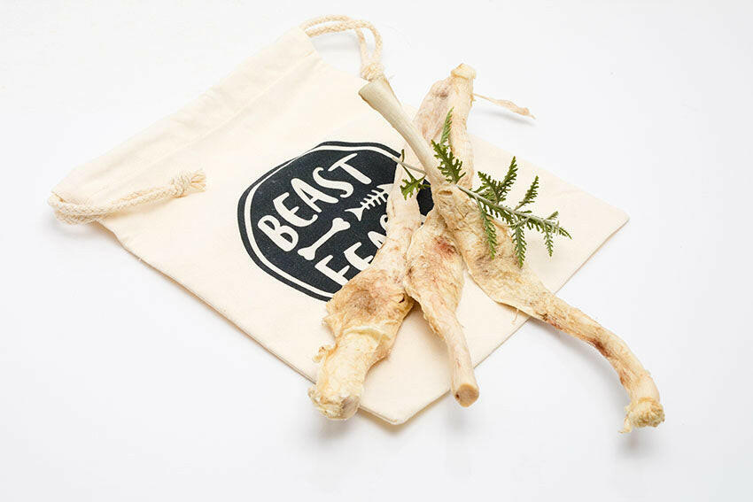 A cloth bag labeled "BEAST FEAST" holds two dried animal bones and a small fern, suggesting a wild treat. Ideal for teething puppies, these bones may be made from Wild Nosh Pets' Freeze-Dried Bison Patellar Tendon to support natural chewing instincts.