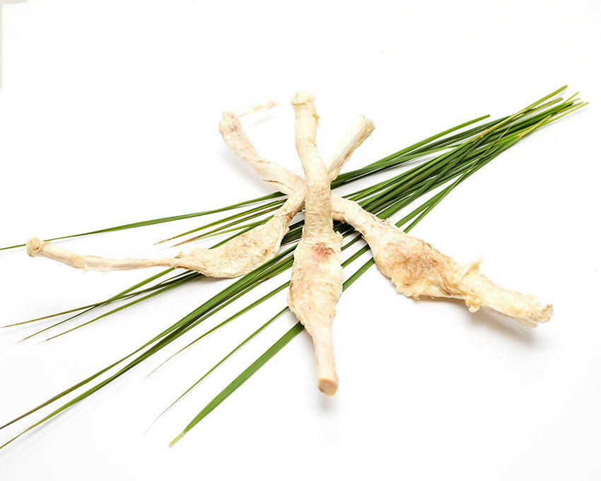 The Freeze-Dried Bison Patellar Tendon by Wild Nosh Pets is arranged on green grass blades against a white background, ideal for teething puppies exploring new textures.