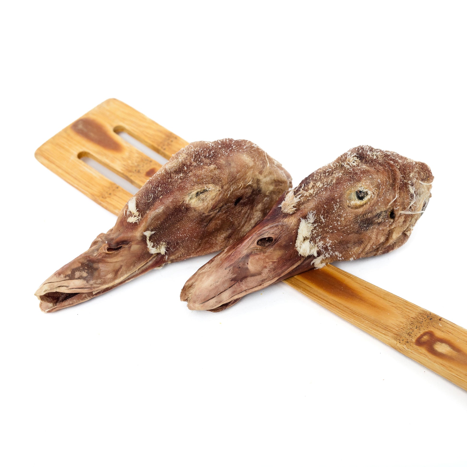 Two Freeze-Dried Duck Heads from Wild Nosh Pets rest on a wooden slotted spatula against a white background, highlighting this unique pet snack perfect for premium cat treats and dog treats.