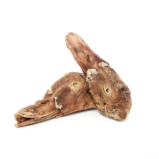Two Wild Nosh Pets Freeze-Dried Duck Heads, perfect as dog or cat treats, are displayed on a white background.