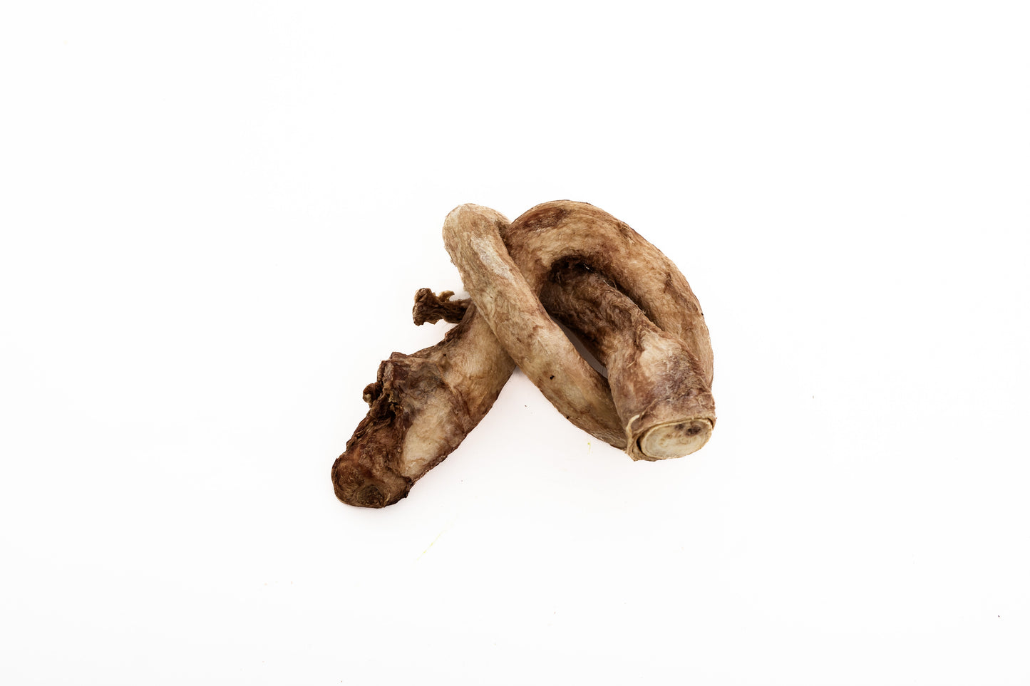 Two Freeze-Dried Bison Bully Pretzels from Wild Nosh Pets, resembling raw root vegetables, are displayed on a white background.