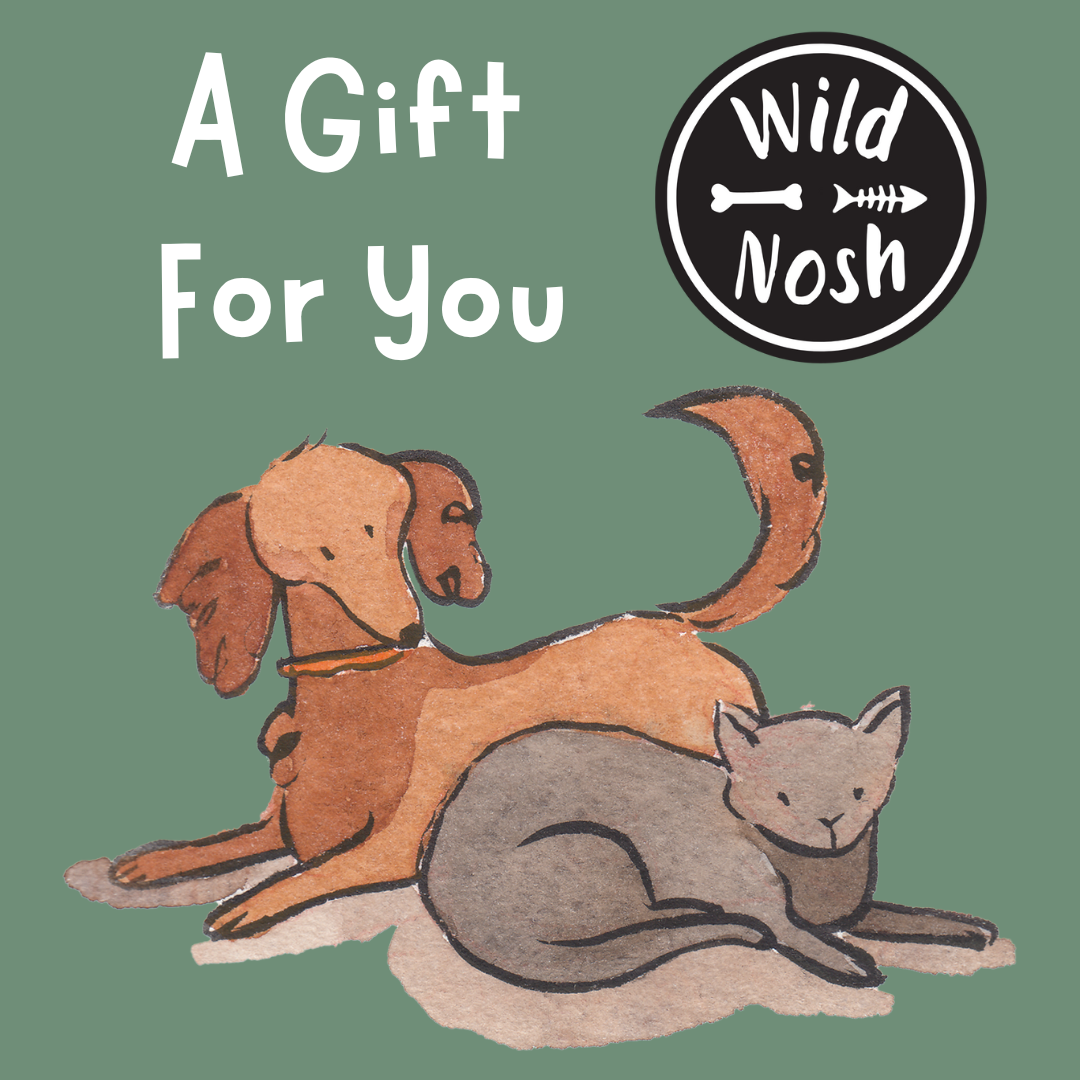 Illustration of a dog and a cat lying together with the text "A Gift For You" and the Wild Nosh Pets logo on a green background, perfect for any dog-lover or cat-fanatic. This is presented on a Gift Card from Wild Nosh Pets.