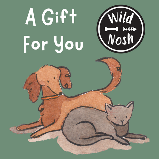 Illustration of a dog and a cat lying together with the text "A Gift For You" and the Wild Nosh Pets logo on a green background, perfect for any dog-lover or cat-fanatic. This is presented on a Gift Card from Wild Nosh Pets.