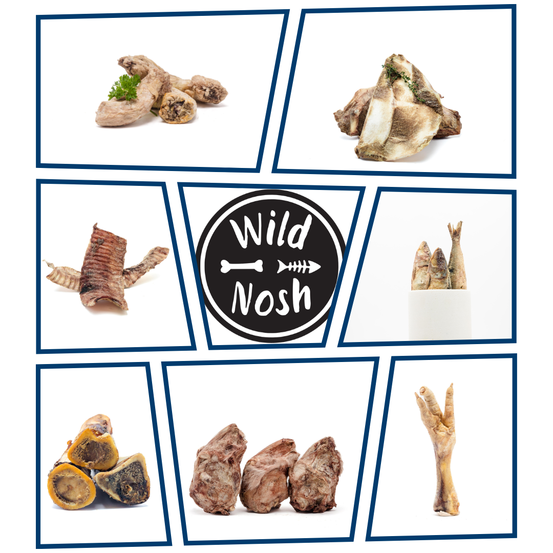 Natural nosh cat treats clearance