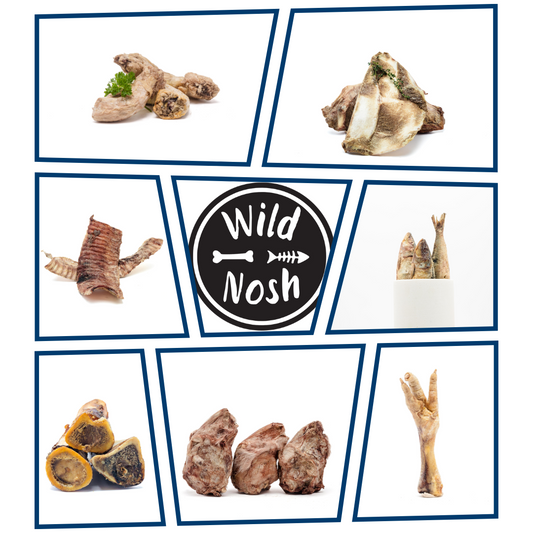 Collage of raw meats and bones, including fish, chicken feet, and ribs, surrounds the "Wild Nosh Pets" logo. Discover our Custom Curated Sample Bag for Dogs packed with popular treats to satisfy your pet’s natural cravings.