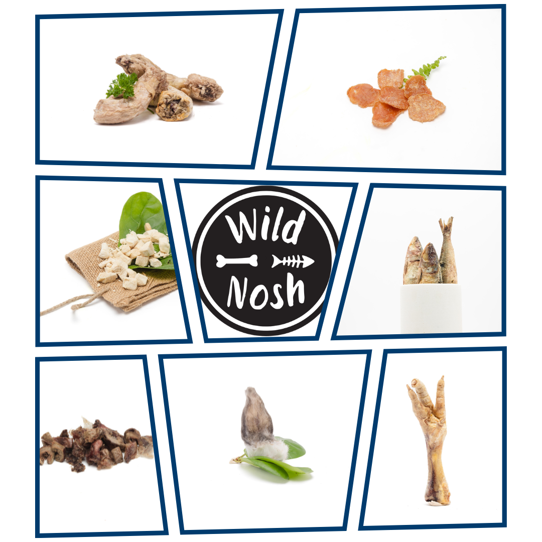 A collage of popular treats including chicken feet, dried fish, beef jerky, and natural chews encircles a logo with "Wild Nosh Pets" for the Custom Curated Sample Bag for Cats.