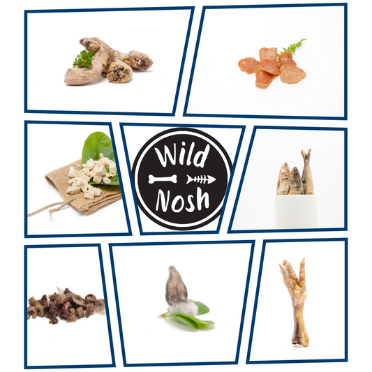 A collage of popular treats including chicken feet, dried fish, beef jerky, and natural chews encircles a logo with "Wild Nosh Pets" for the Custom Curated Sample Bag for Cats.