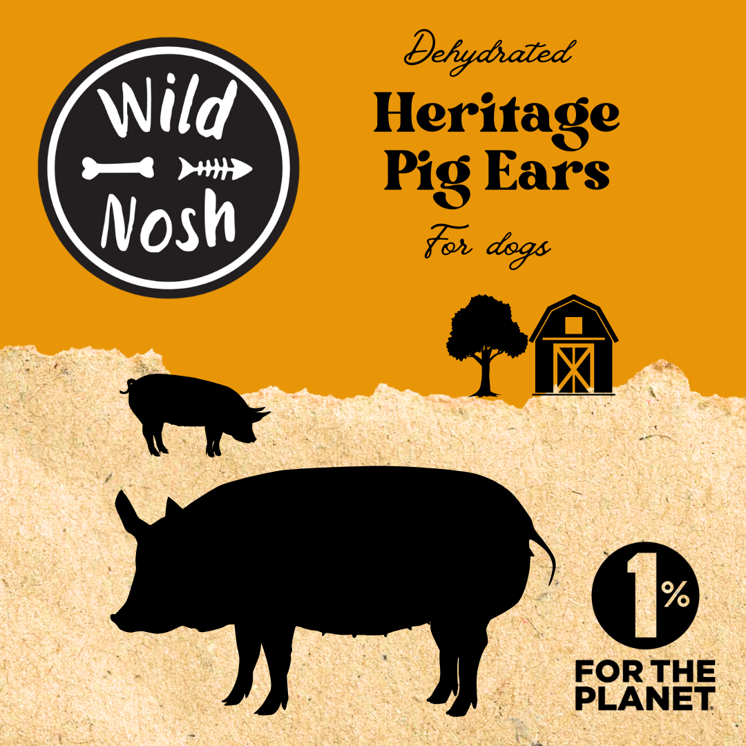 Wild Nosh Pets Heritage Breed Dehydrated Pig Ear package features pig silhouettes, a barn, a tree, and the 1% for the Planet logo on an orange textured background. Made from heritage breed pigs, rich in glucosamine and chondroitin.