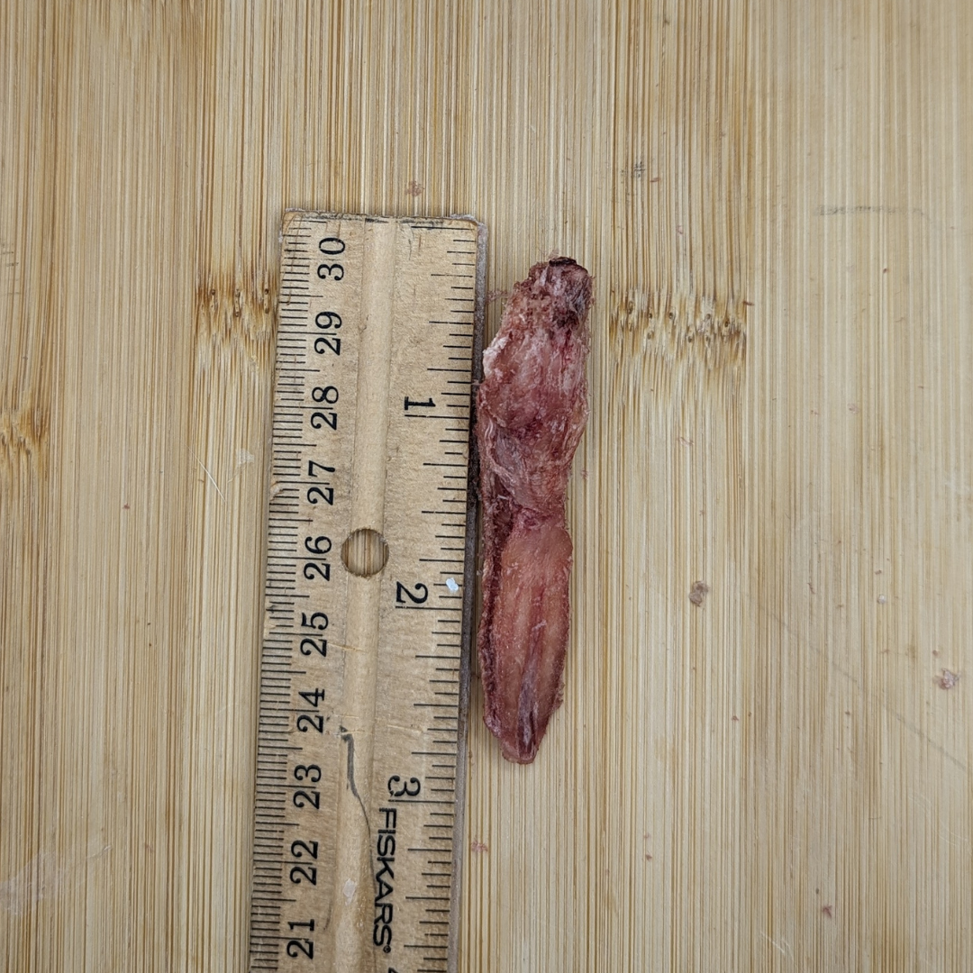 A small, reddish-brown object with an irregular shape, measuring about 1.5 inches long, placed next to a wooden ruler on a bamboo surface—an intriguing protein-packed treat for your dog: Freeze-dried Duck Tongues 1oz by Wild Nosh Pets.