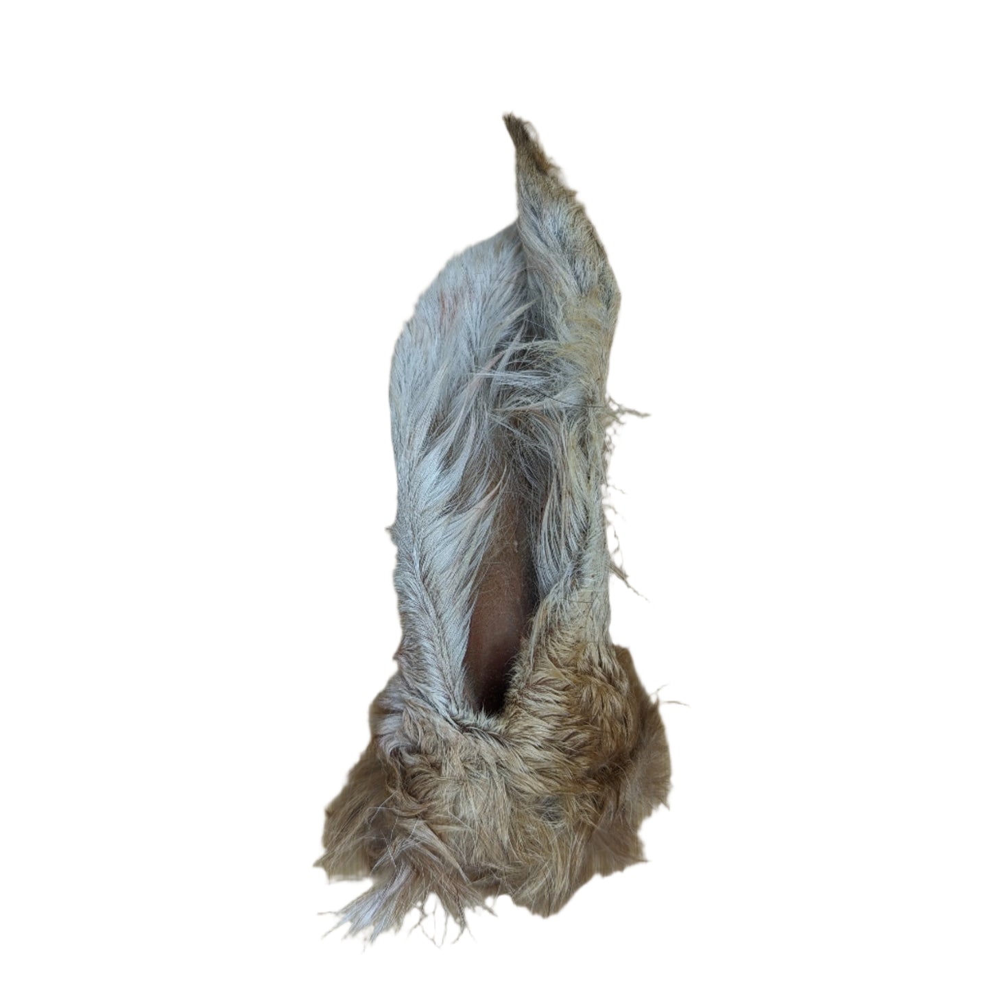A low-fat chew made from natural fiber, such as Hairy Goat Ears, on a cutting board by Beast Feast.