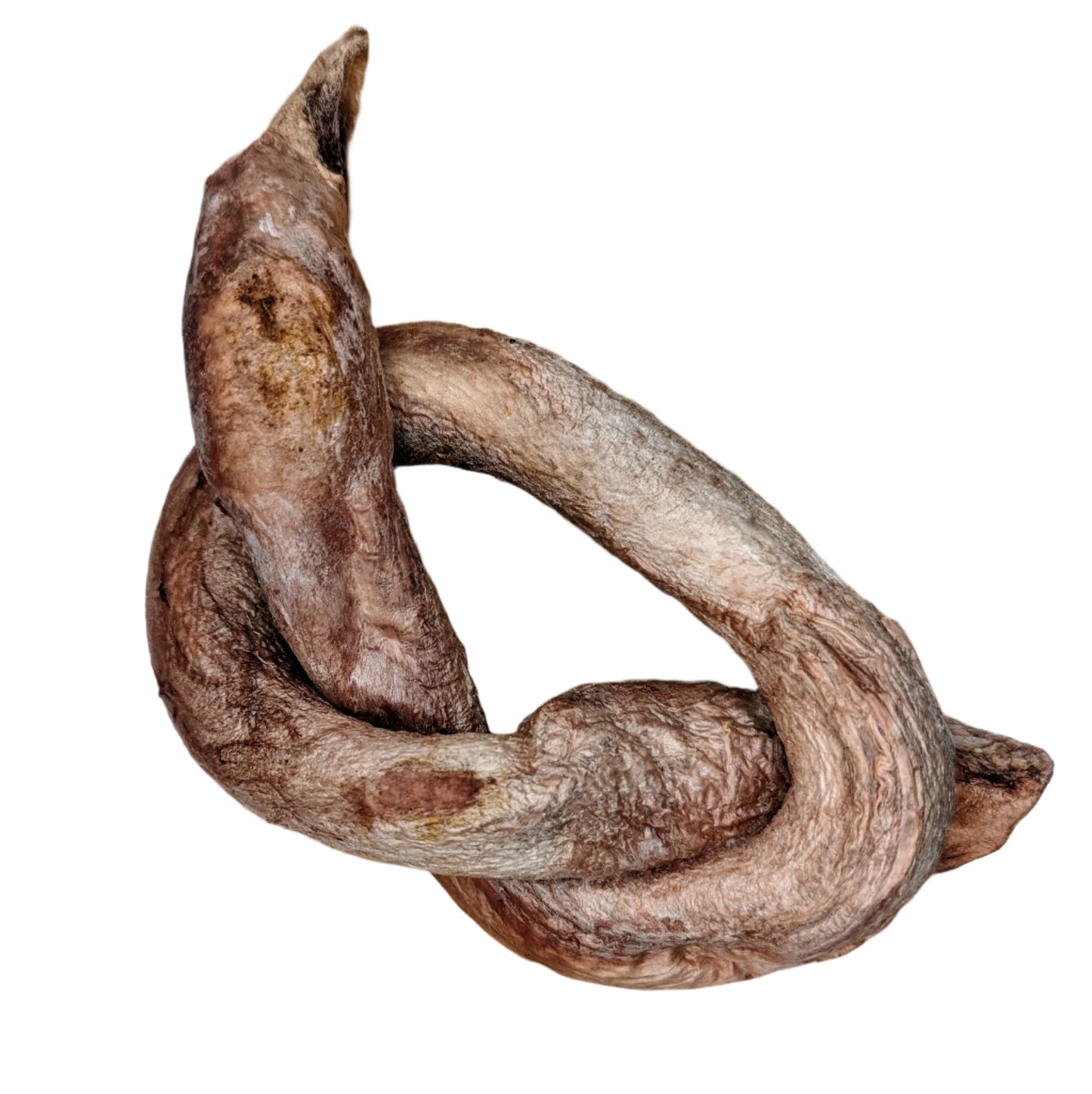 A large, curved piece of dried meat placed on a wooden cutting board, this protein-rich chew is one of our popular Wild Nosh Pets Freeze-dried Bison Bully Pretzels.
