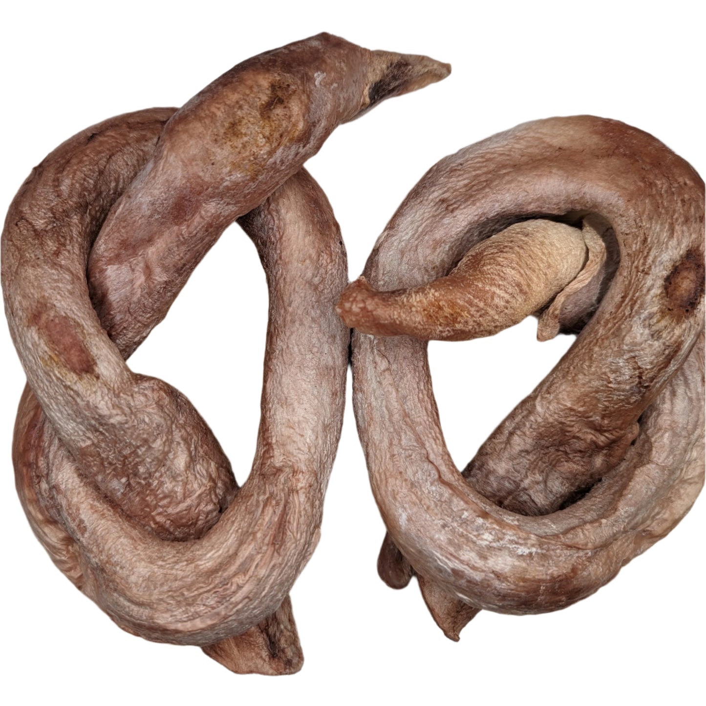 Two large, twisted, raw animal tongues placed side by side on a wooden cutting board evoke the robust appearance of Freeze-dried Bison Bully Pretzel from Wild Nosh Pets.