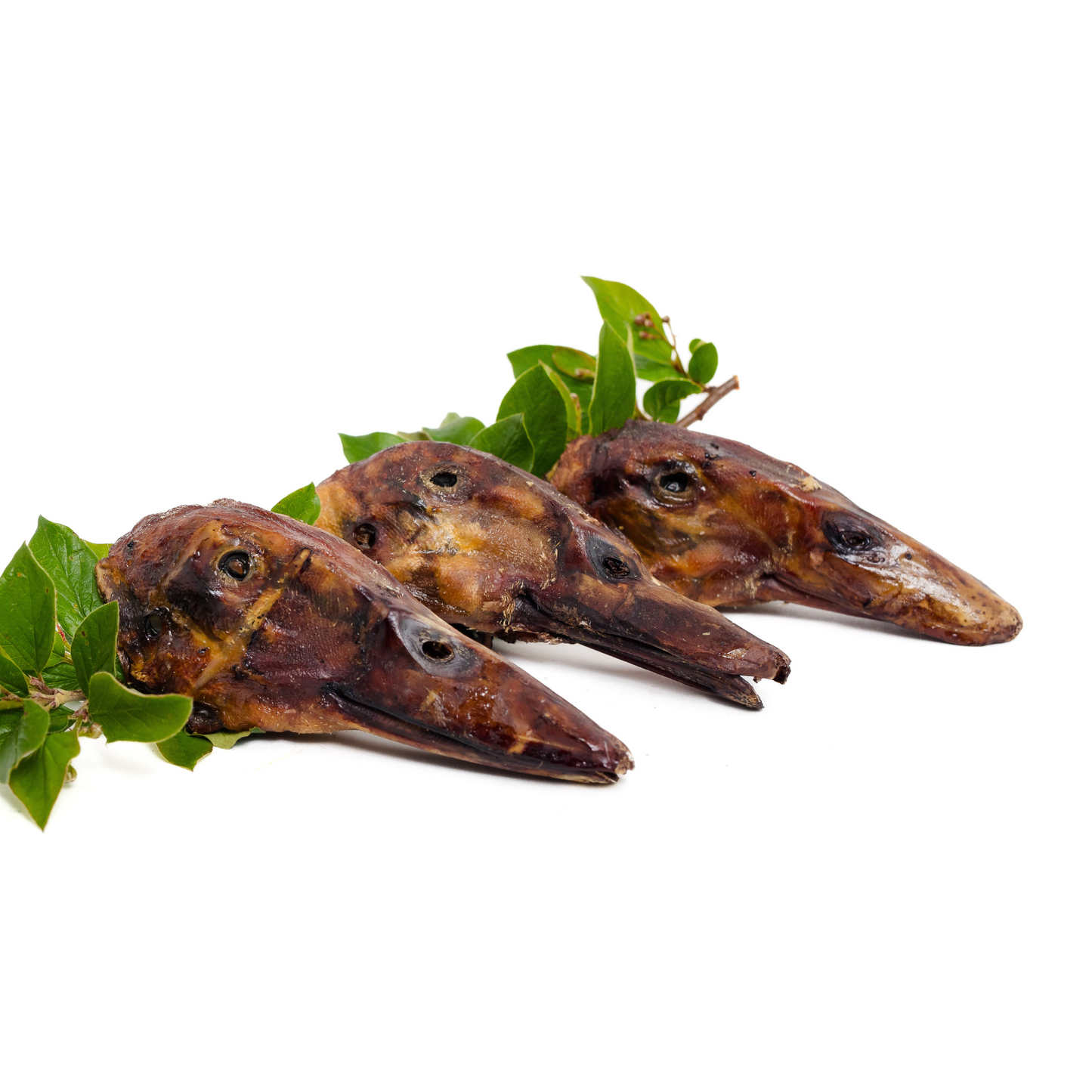 Three dehydrated duck heads from Wild Nosh Pets are arranged in a row on a white background—an adventurous, nutritious treat for pets.