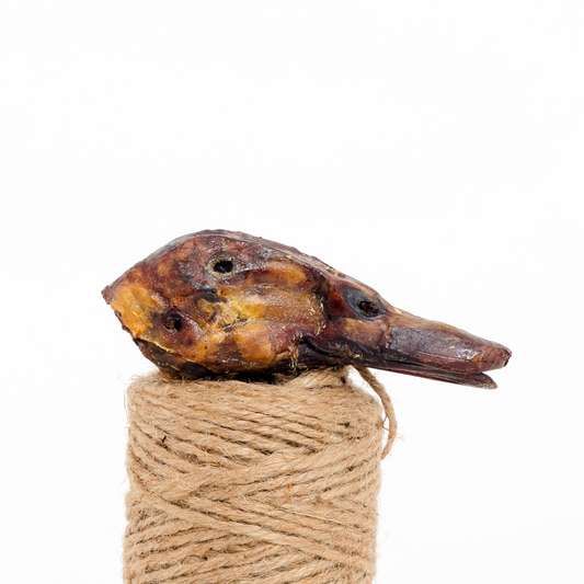 A Wild Nosh Pets Dehydrated Duck Head rests atop a roll of thick, brown twine against a plain white background—an unusual, nutritious treat for pets.