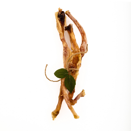 Three Dehydrated Bison Patellar Tendon chews from Wild Nosh Pets are arranged vertically on a white background, accented by a small green leafy sprig, highlighting their natural look and appeal for dogs.