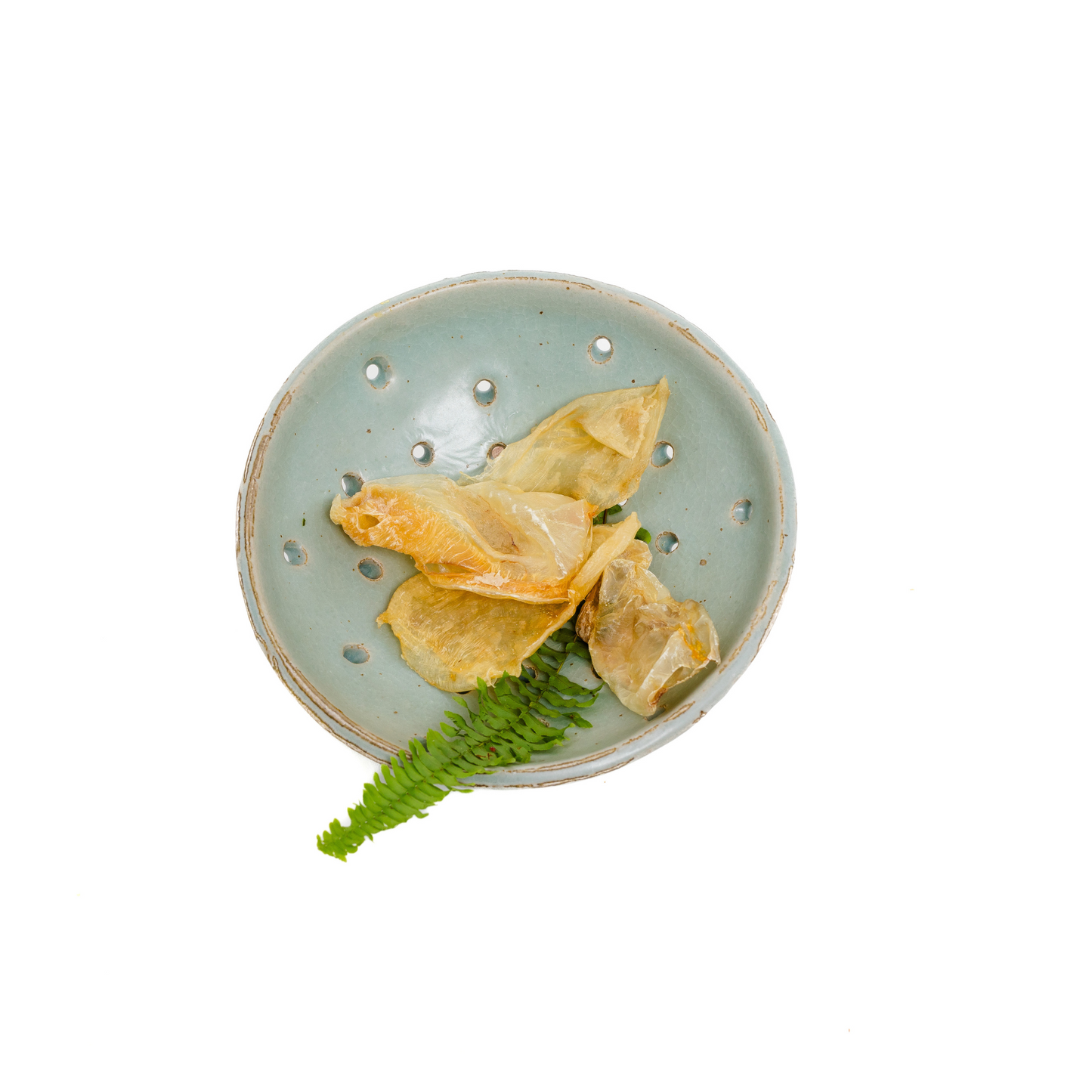 A white ceramic plate holds several pieces of Wild Nosh Pets Carp Swim Sacs, rich in omega fatty acids, beside a green fern frond, photographed on a white background.