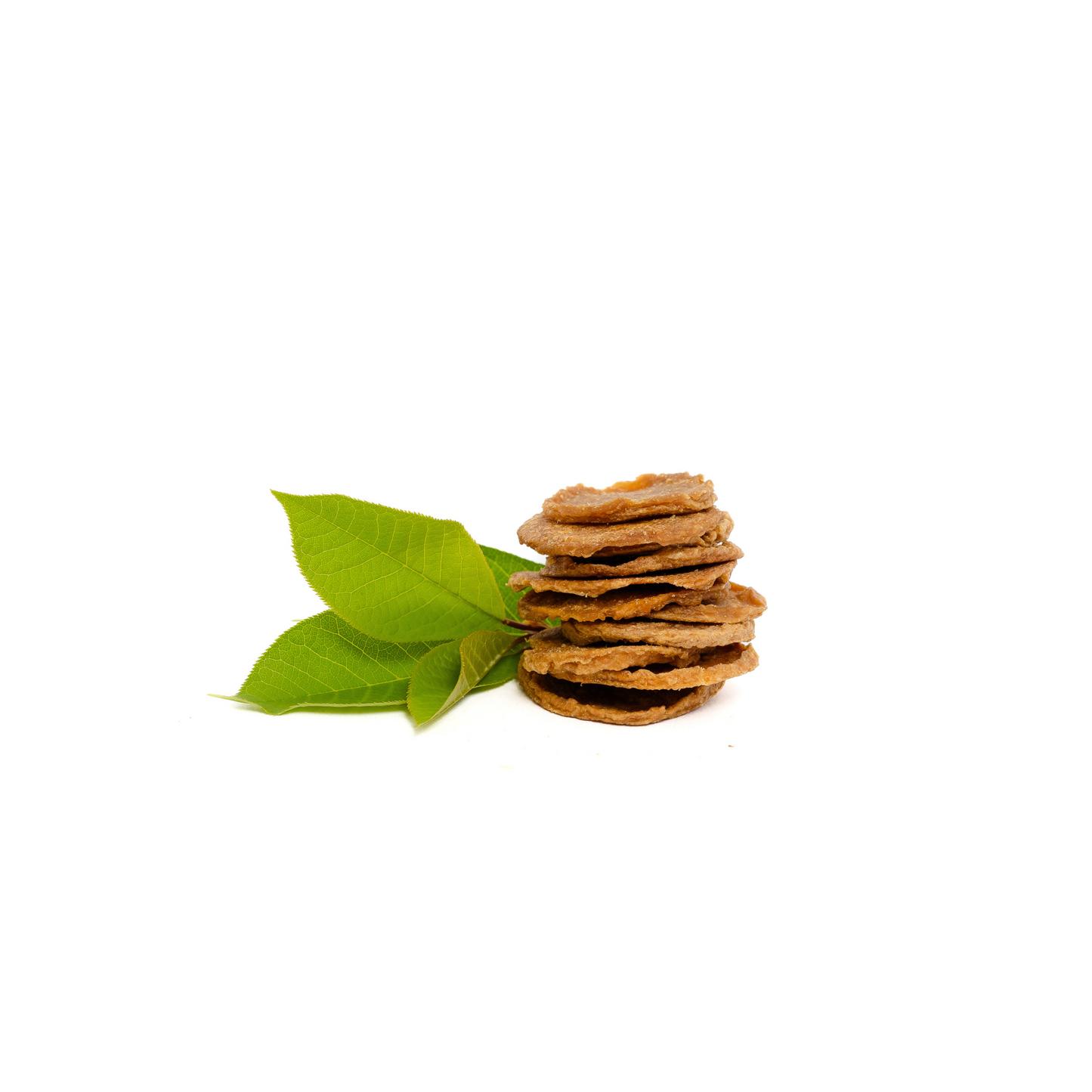 A stack of Wild Nosh Pets Carp Crispers 1 oz., rich in Omega Fatty acids, sits beside a small green branch on a white background.