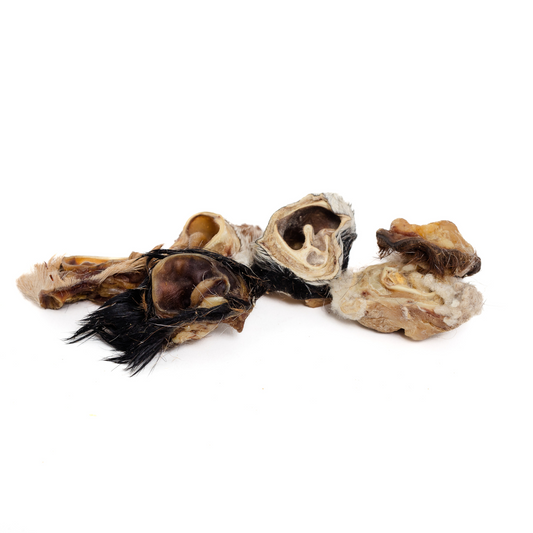 Wild Nosh Pets Hairy Goat & Sheep Ear Buds 3 oz. are natural dog treats with some fur, arranged on a white background—a tasty, protein-rich chew your pup will love.