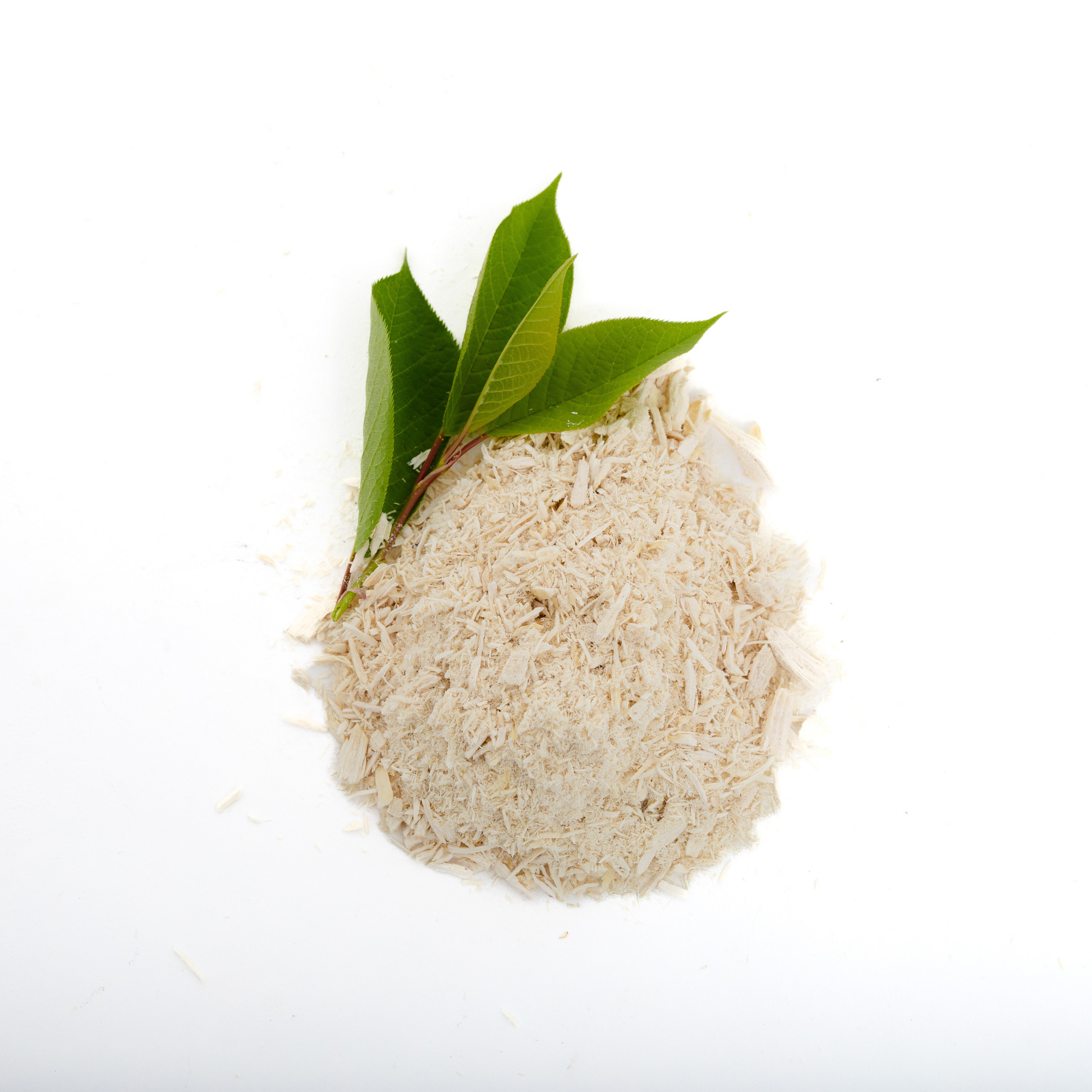 Wild Nosh Pets Freeze-Dried Chicken Pawmesan Topper (1oz) features a small pile of light chicken powder with three green leaves on a white backdrop—an ideal choice for picky eaters.