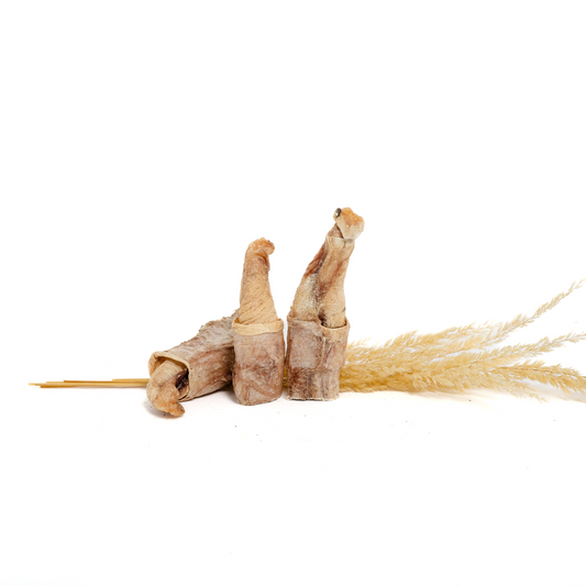 Three Freeze-Dried Bison Tips by Wild Nosh Pets stand upright with light pampas grass, wooden skewers, and touches of bison bully sticks on a white background, evoking a tribute to grassland regeneration.