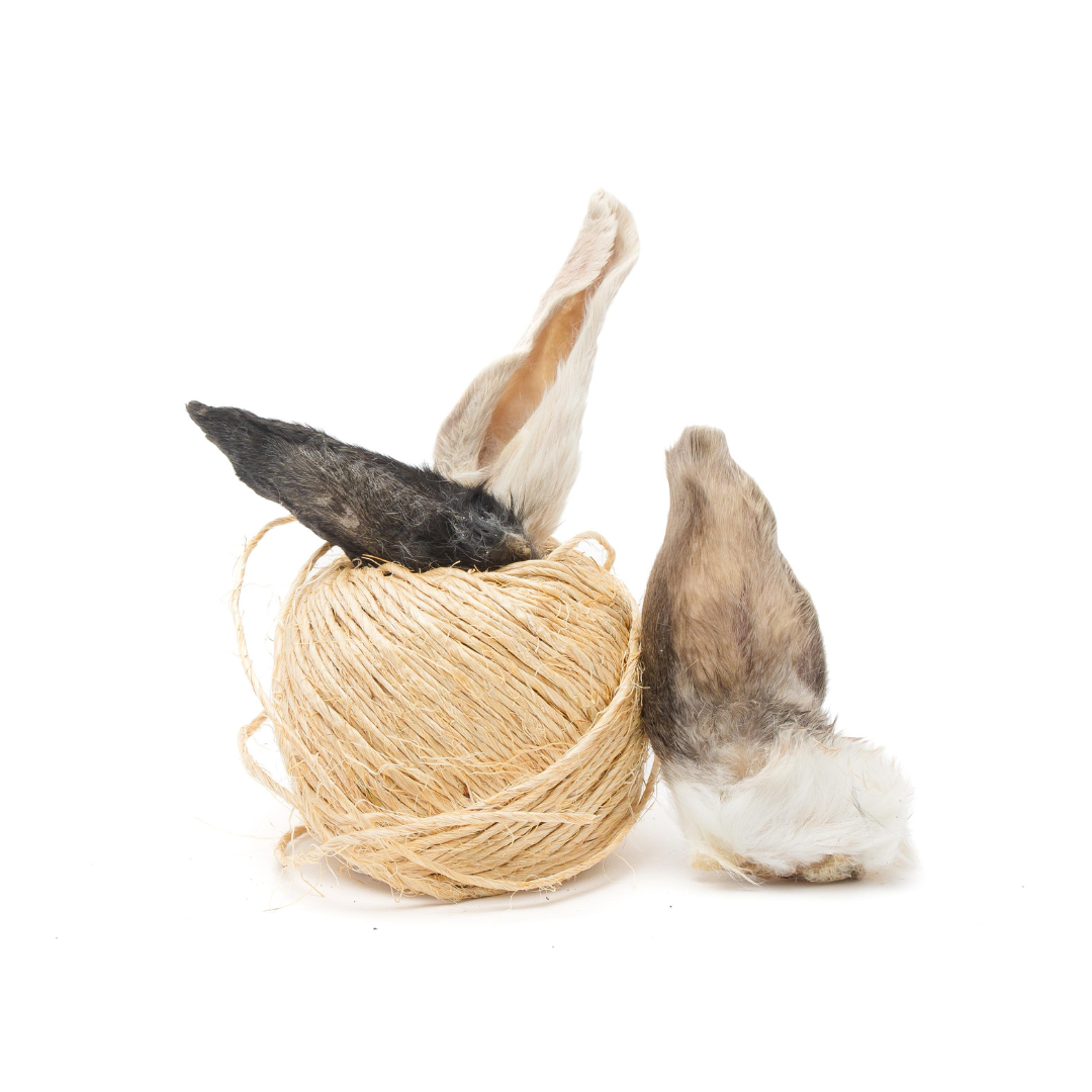 Wild Nosh Pets Rabbit Ears, a novel protein treat that can help clean teeth, are shown next to a ball of natural twine on a white background.
