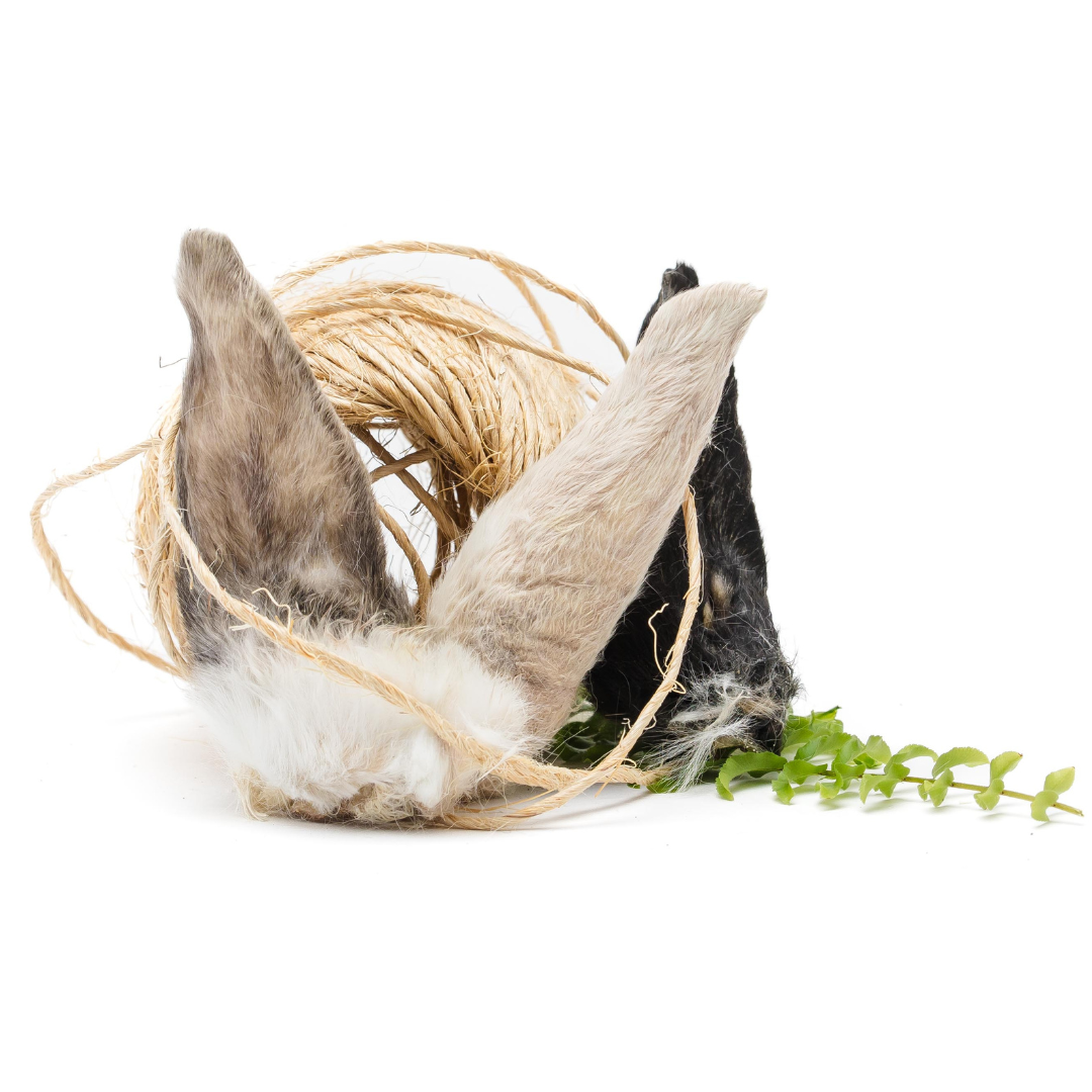 On a white background: Wild Nosh Pets Rabbit Ears, a bundle of twine, a gray animal ear headband, a black animal ear headband, and a small green artificial plant.