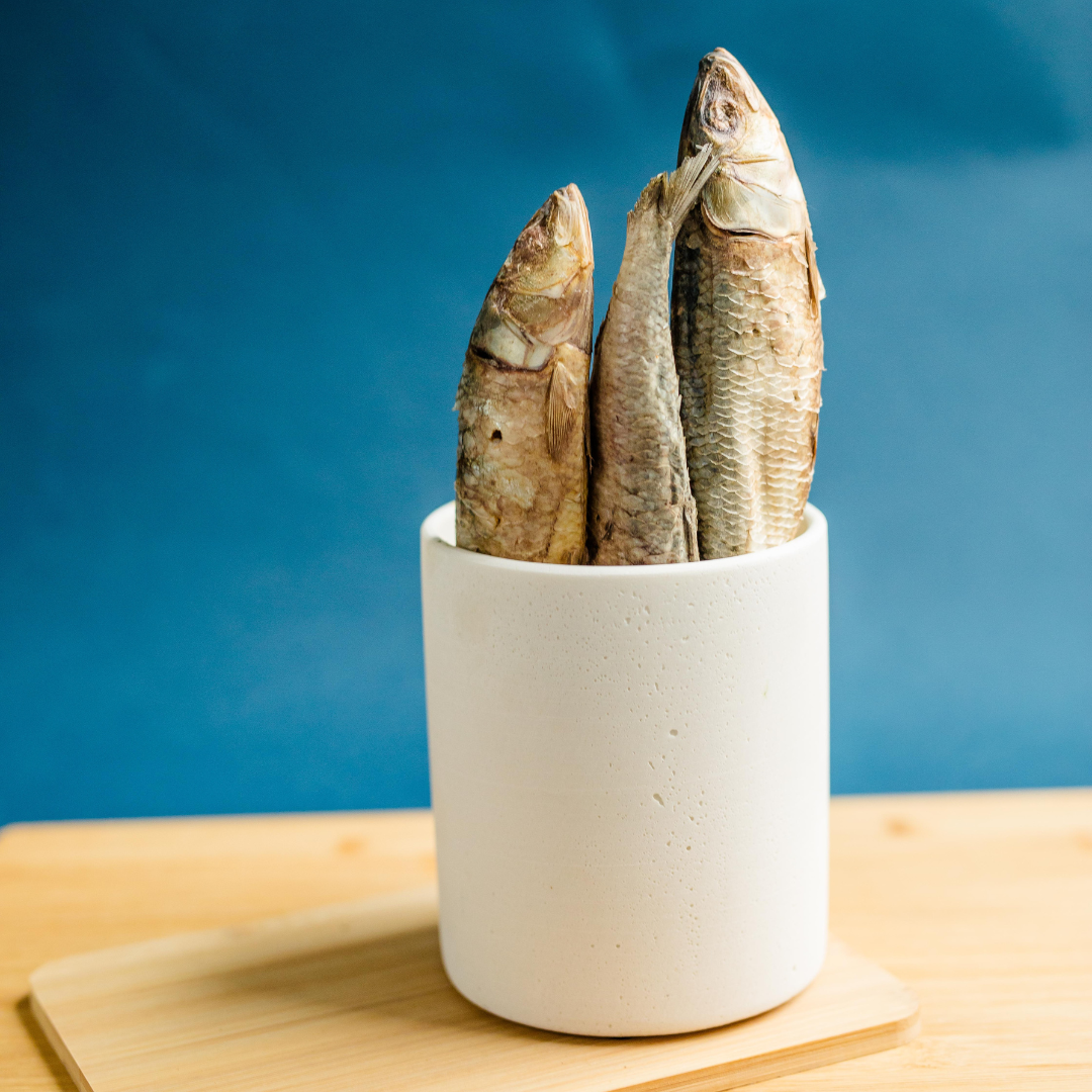 Three whole Wild Nosh Pets Freeze-Dried Sardines stand upright in a white ceramic cup on a wooden surface with a blue background—ideal as cat or dog treats.