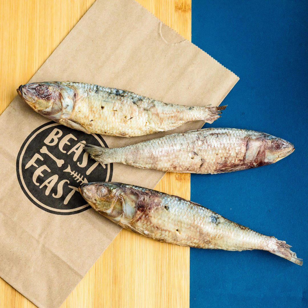Three whole Wild Nosh Pets Freeze-Dried Sardine treats rest on a brown "Beast Feast" bag atop a wood and blue background—ideal as cat or dog treats.