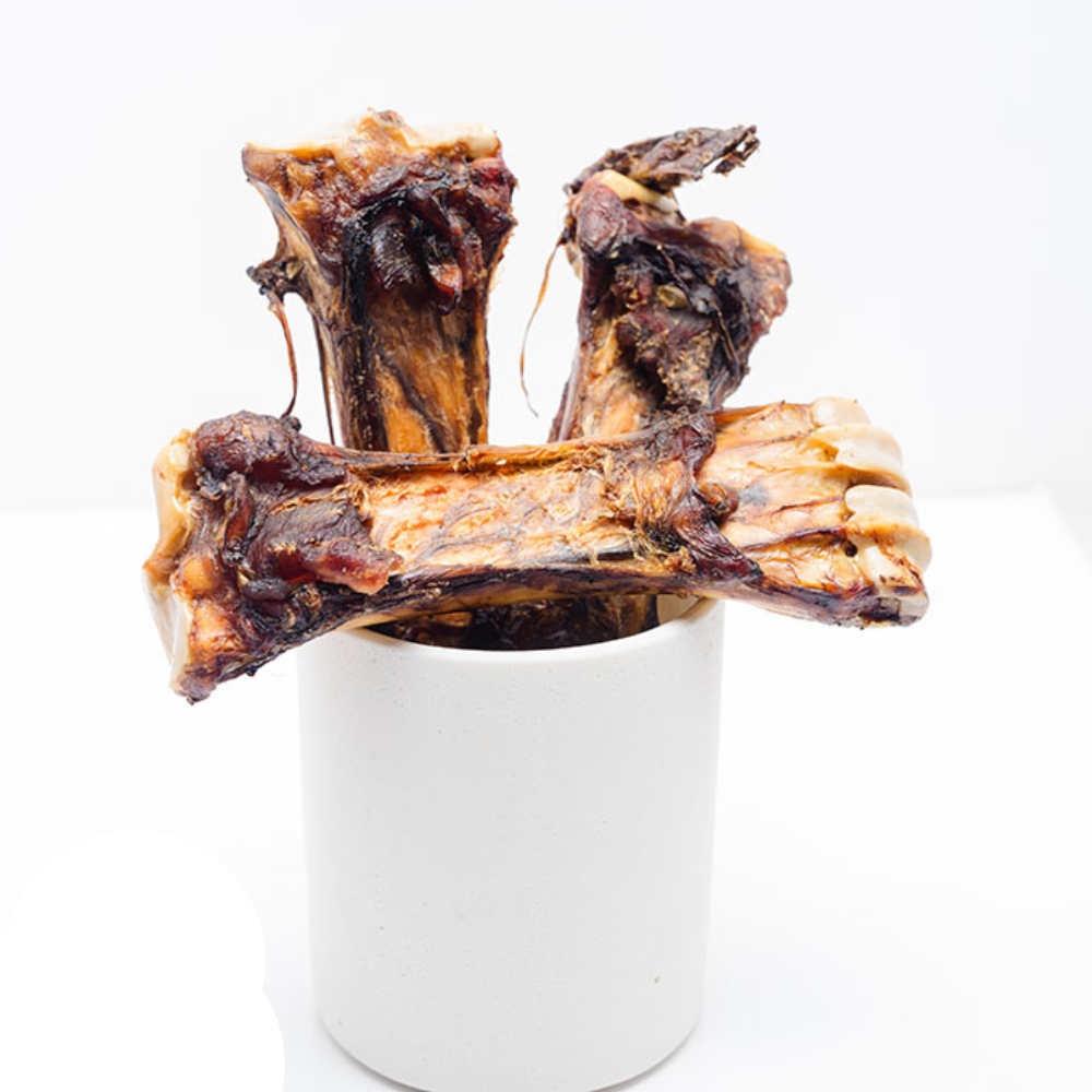 A cup holds several large, Wild Nosh Pets Baked Bison Shin Bones standing upright against a plain white background—ideal for tenacious chewers seeking durable chews.