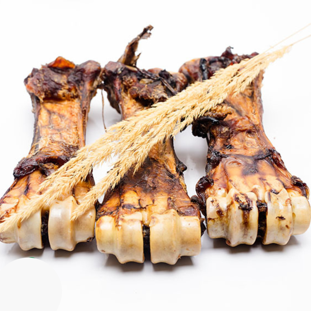 Three Baked Bison Shin Bones from Wild Nosh Pets arranged in a row with stalks of dried wheat placed on top, against a white background—perfect for tenacious chewers.