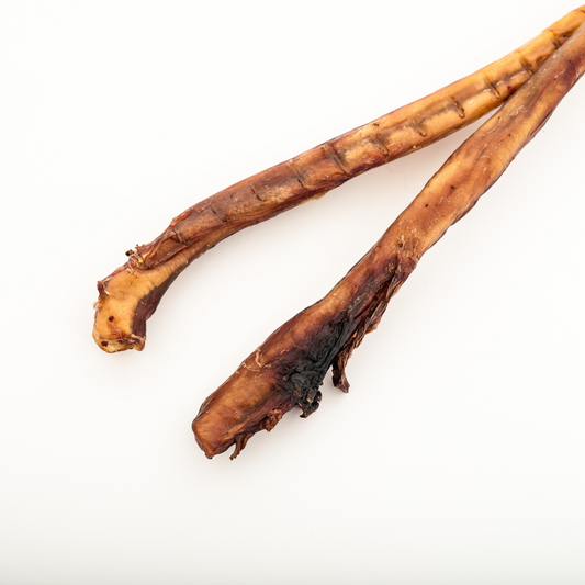 Two dried brown Bison Bully Sticks from Wild Nosh Pets, sourced from North American grasslands, lie on a white background—providing a protein-rich chew for your pup.