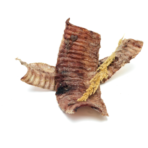 A close-up of Freeze-Dried Bison Trachea Split by Wild Nosh Pets with a brownish-red color, curled and textured, resting on a plain white background—an ideal treat for teething puppies.