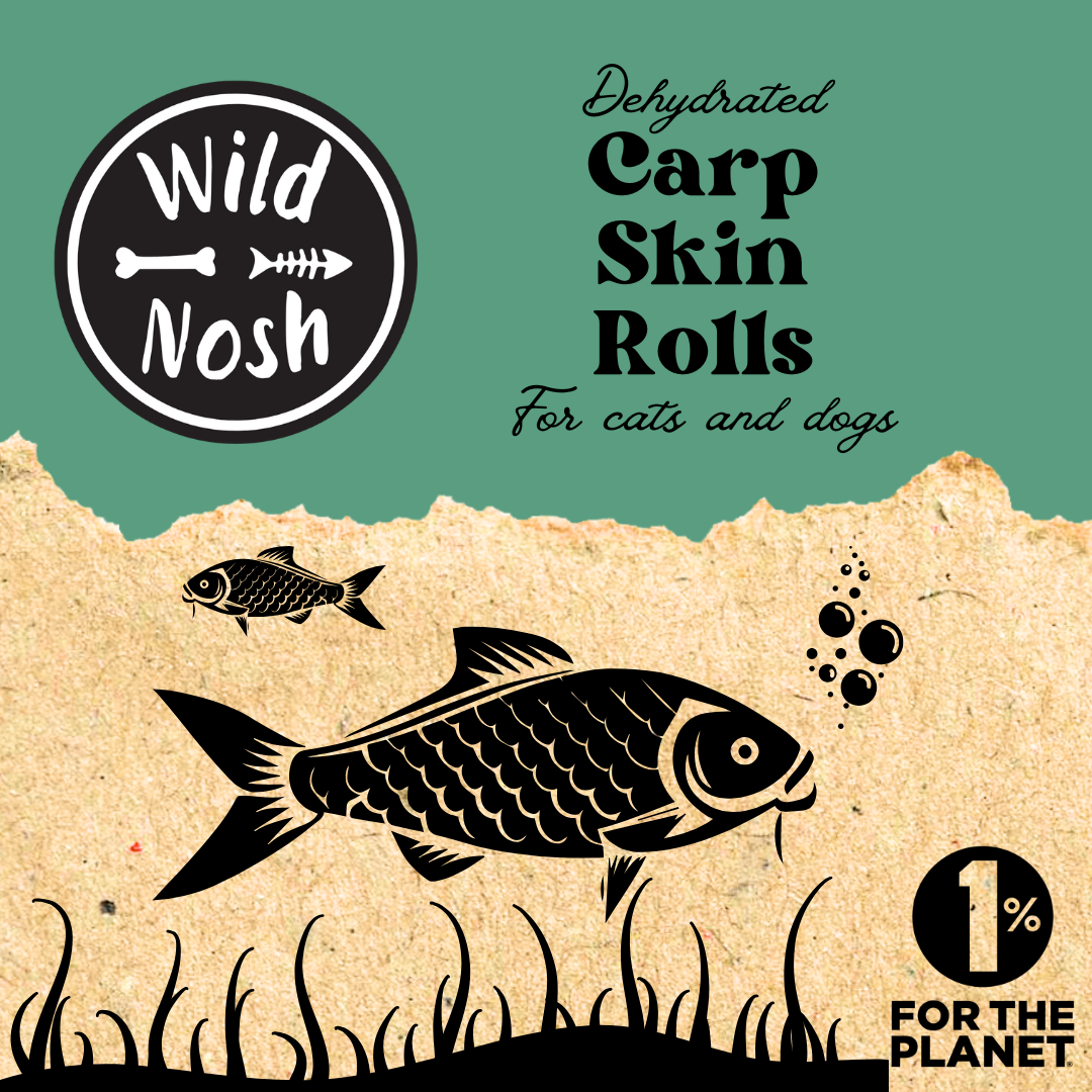The packaging design for Wild Nosh Pets' Carp Skin Roll includes Asian Carp illustrations, a torn paper texture, and an "1% for the Planet" eco-callout. These crunchy chews are packed with omega fatty acids and perfect for both cats and dogs.