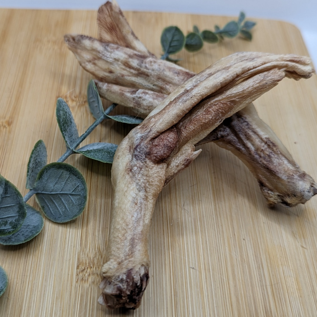 Two Wild Nosh Pets Freeze-Dried Duck Feet on a light-colored wooden surface with a few green leaves for decoration—an ideal treat for senior dogs battling arthritis.