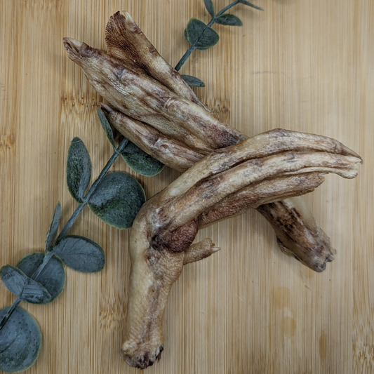 Two Freeze-Dried Duck Feet from Wild Nosh Pets lie crossed on a wooden surface, with a sprig of green leaves placed diagonally beneath them—an ideal treat for senior dogs, helping alleviate arthritis symptoms naturally.