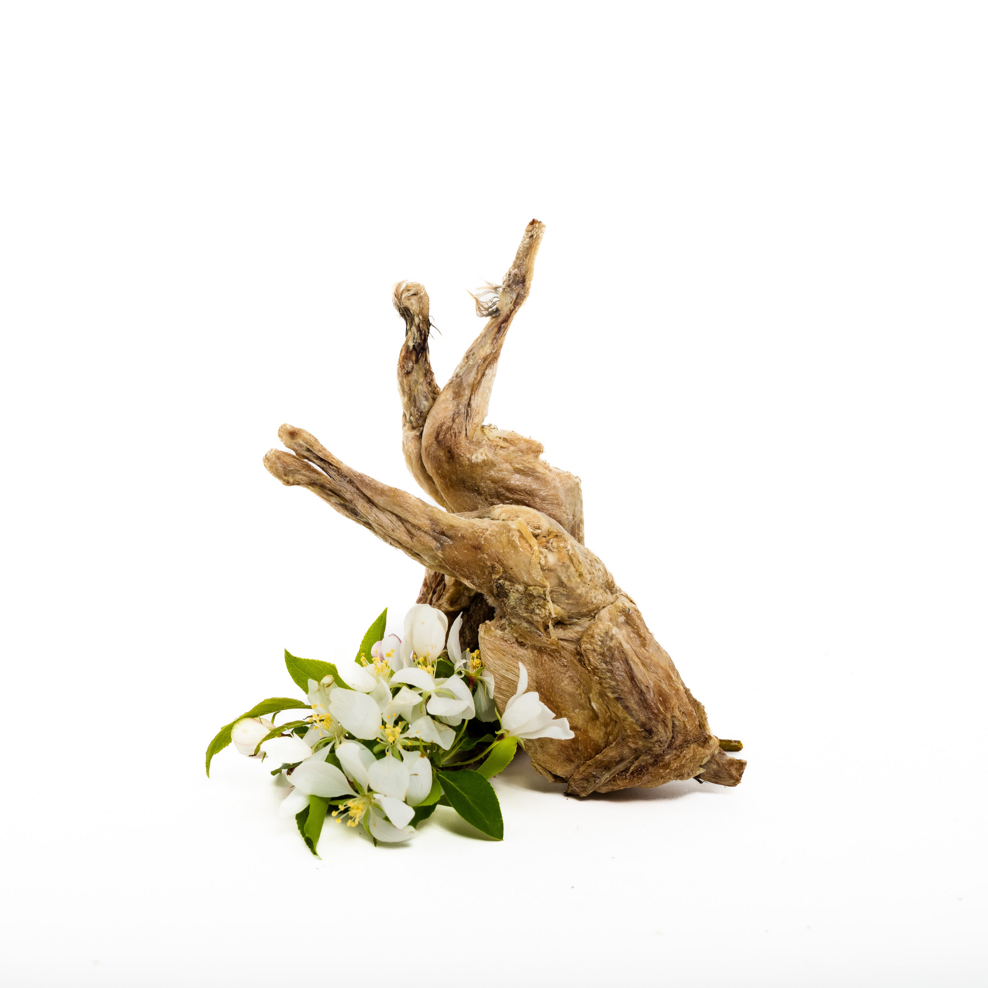 The Wild Nosh Pets Freeze-Dried Whole Quail is displayed on its back beside a small arrangement of white flowers and green leaves, all set against a plain white background.
