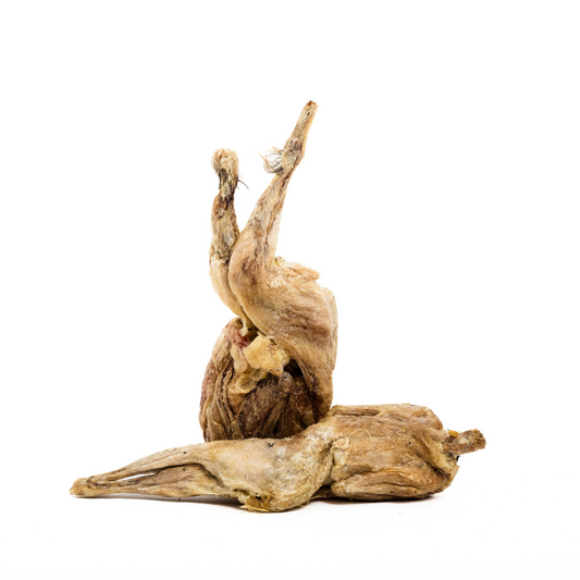 Two freeze-dried whole quails from Wild Nosh Pets are arranged on a white background, offering a protein-rich, whole prey snack for pets.