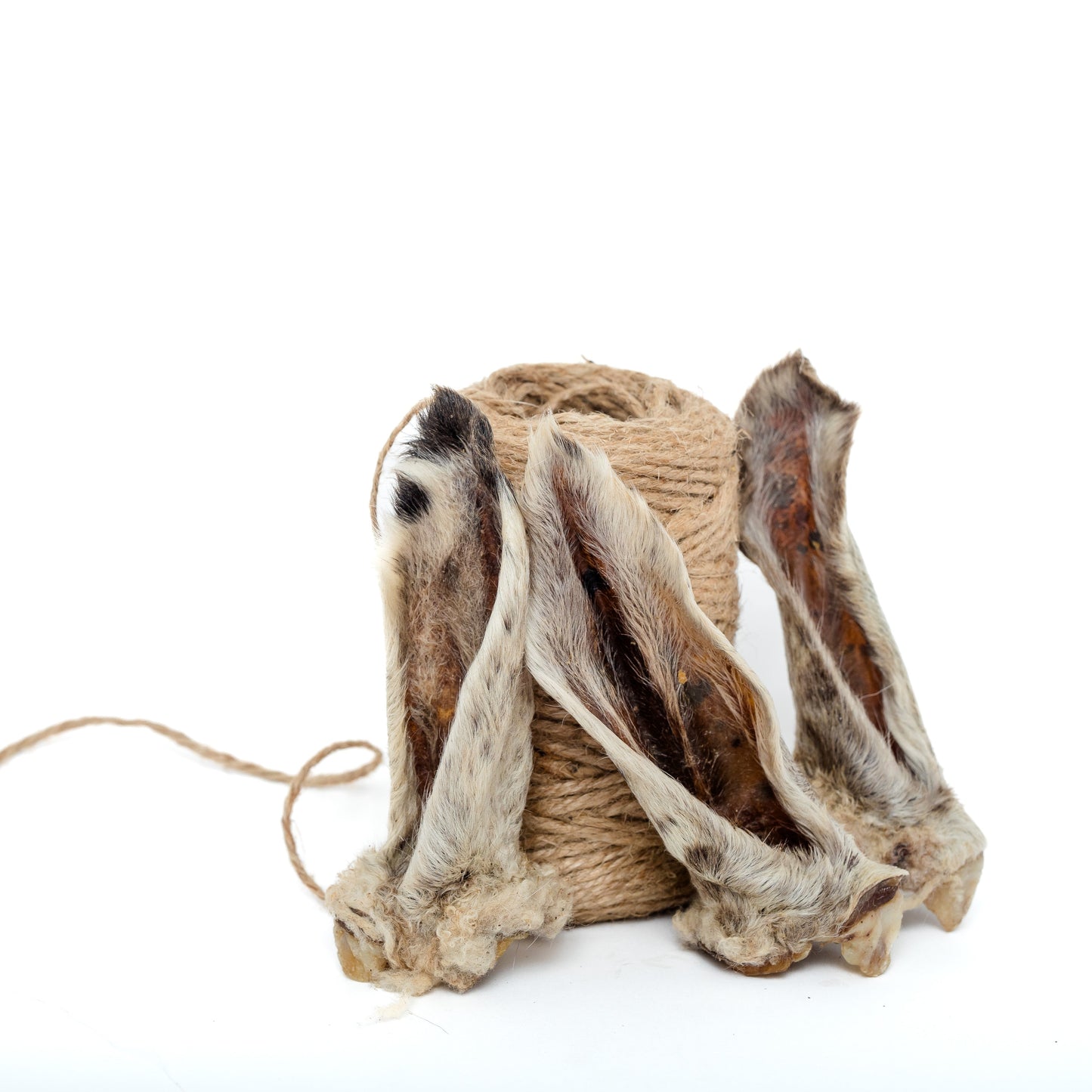 A roll of brown twine sits behind three Wild Nosh Pets Dehydrated Wooly Sheep Ear dog treats, all arranged on a plain white background.