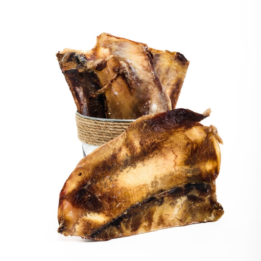 Two large Wild Nosh Pets Dehydrated Bison Scapula bones—ideal for senior dogs or teething puppies—one upright in a rope-wrapped container, the other in front, both set against a plain white background.