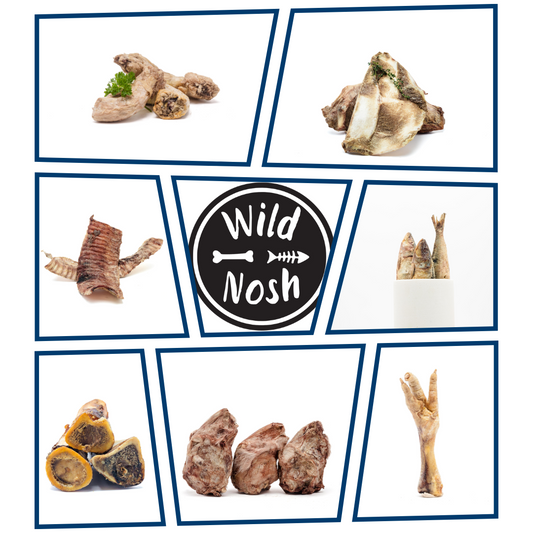 An assortment of raw natural treats such as bones, fish, and meat pieces are arranged around the "Wild Nosh Pets" logo within a blue-bordered collage, showcasing Custom Curated Sample Bags designed to provide essential pet health information.