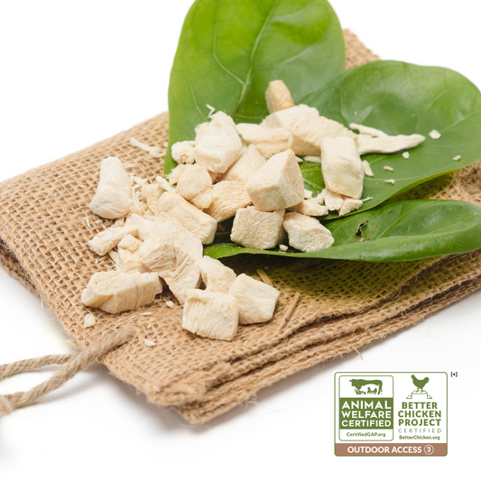 Freeze-Dried Chicken Breast 1oz from Wild Nosh Pets rests on green leaves, placed on a burlap mat. Animal Welfare Certified and Better Chicken Project Outdoor Access certified logos are displayed in the bottom right corner—a perfect choice for picky eaters.