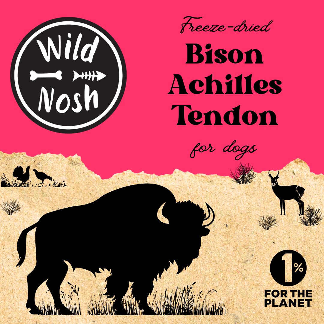 The Wild Nosh Pets package features a striking bison silhouette and highlights the "Freeze-Dried Bison Achilles Tendon," ideal for teething puppies. It includes the "1% for the Planet" logo, showcasing sustainability and collagen-rich benefits.