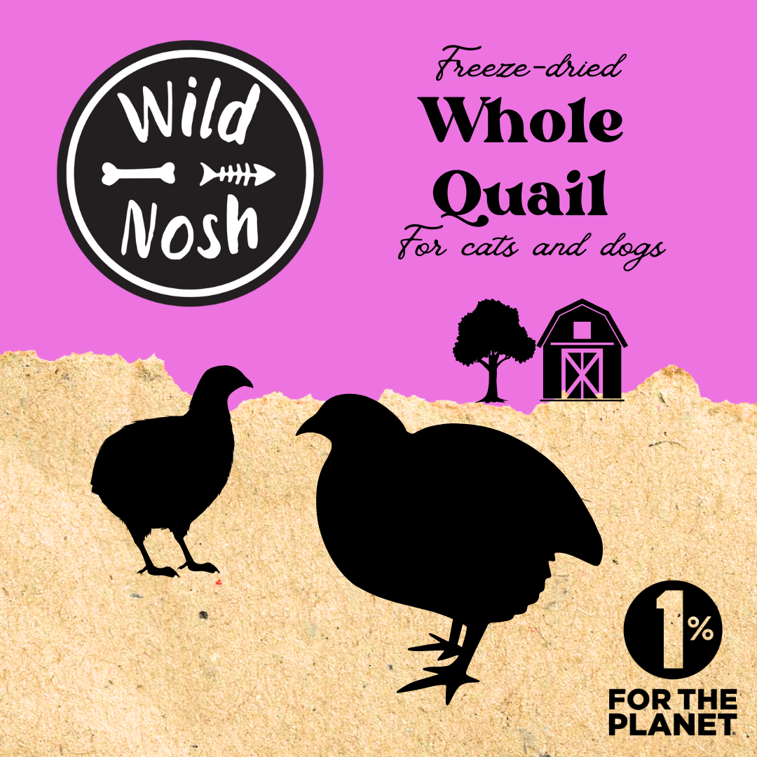 The Wild Nosh Pets Freeze-Dried Whole Quail features quail silhouettes and logos on a pink and tan label—an ideal whole prey snack for cats and dogs, rich in omega fatty acids.
