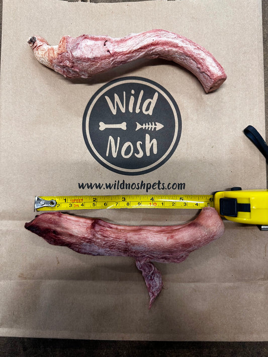 Two freeze-dried, protein-rich chews are nestled in a Wild Nosh Pets paper bag, one featuring a robust 4-6" bison bully stick that evokes the spirit of the American West. A measuring tape nearby highlights their impressive size.