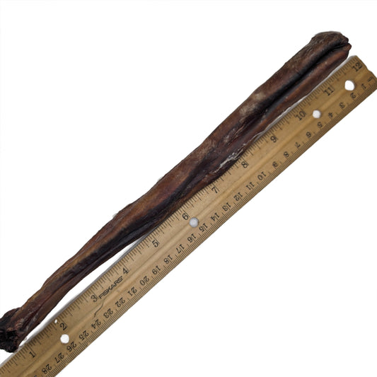 A 10-12" Bison Bully Stick from Wild Nosh Pets lies next to a wooden ruler showing a length of approximately 12 inches.