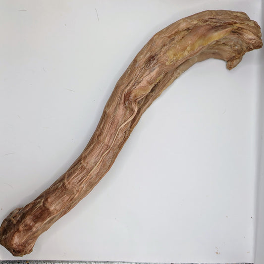 A long, dried piece of high in protein meat or animal part, possibly a bone, placed on a white background is the Freeze-Dried Goose Neck by Wild Nosh Pets.