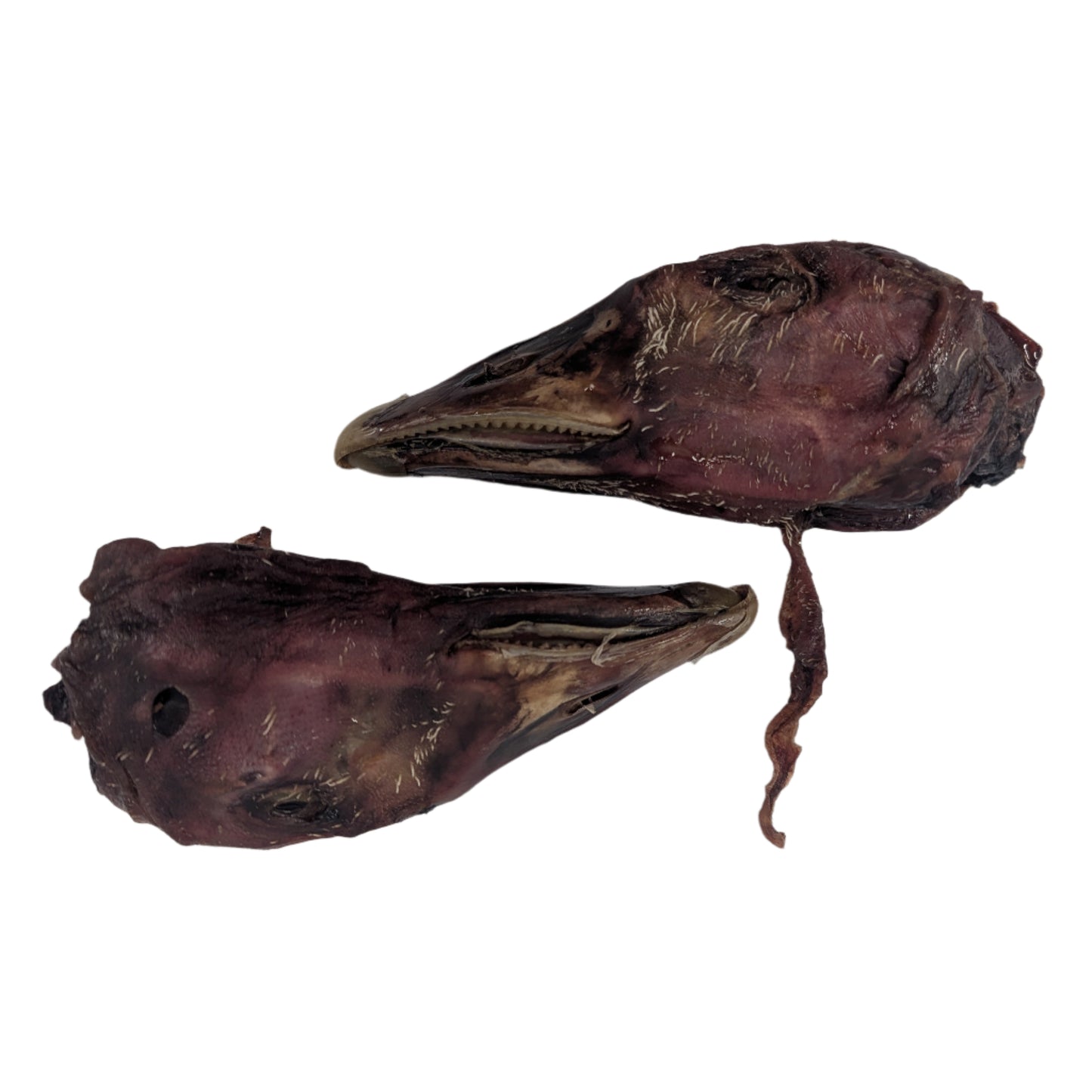 Two dark purple Dehydrated Goose Heads, featuring elongated beaks from Wild Nosh Pets, are displayed on a plain white background.