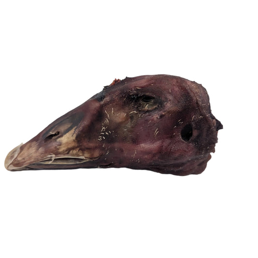 Side view of a dehydrated goose head by Wild Nosh Pets, showcasing detailed texture with a closed eye and beak against a plain white background. Ideal as a crunchy dog treat thanks to its extended drying process.